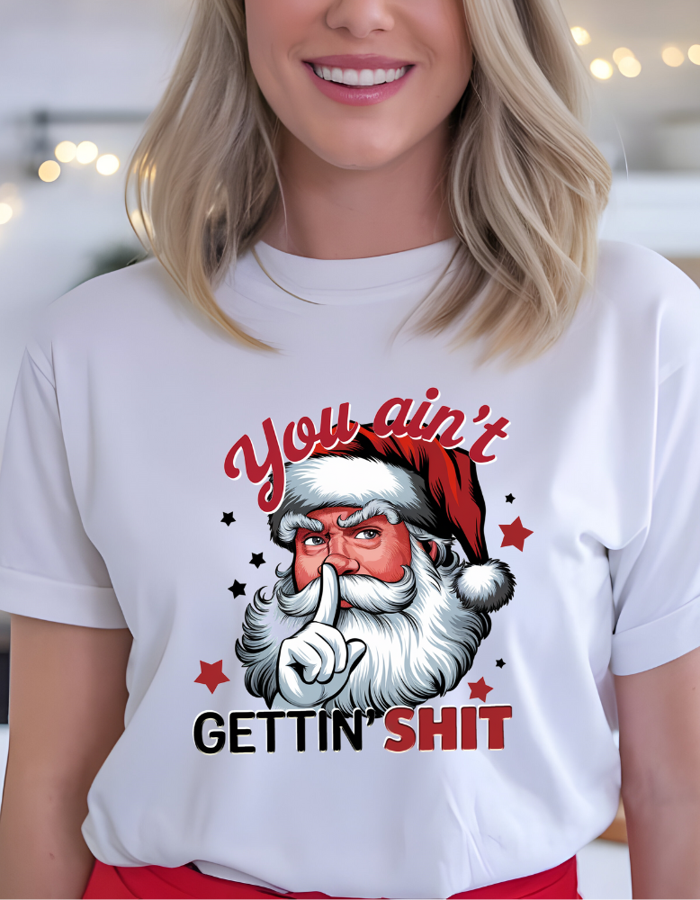 You Ain't Gettin Shit|TShirt|Sweatshirt|Hoodie
