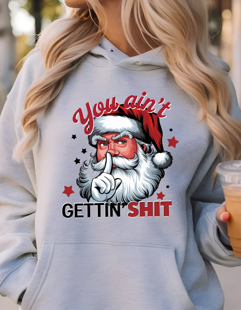 You Ain't Gettin Shit|TShirt|Sweatshirt|Hoodie