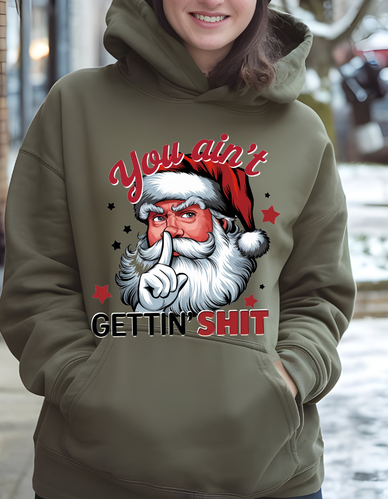 You Ain't Gettin Shit|TShirt|Sweatshirt|Hoodie