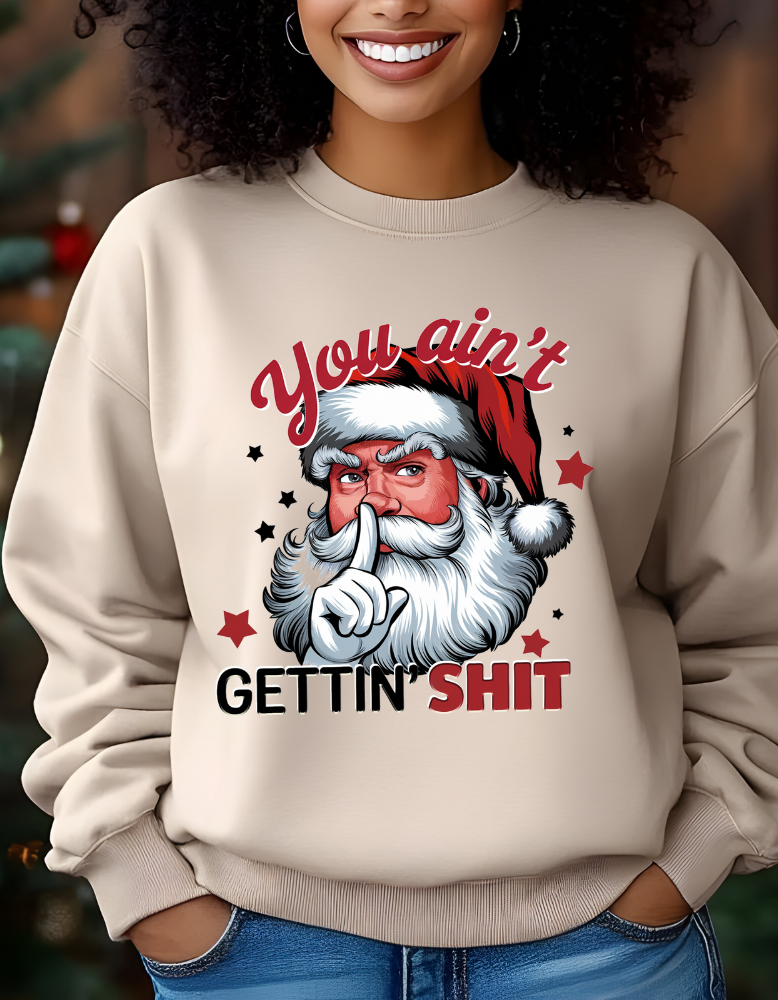 You Ain't Gettin Shit|TShirt|Sweatshirt|Hoodie