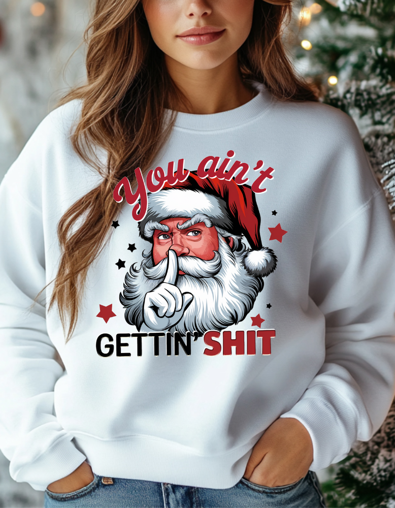 You Ain't Gettin Shit|TShirt|Sweatshirt|Hoodie