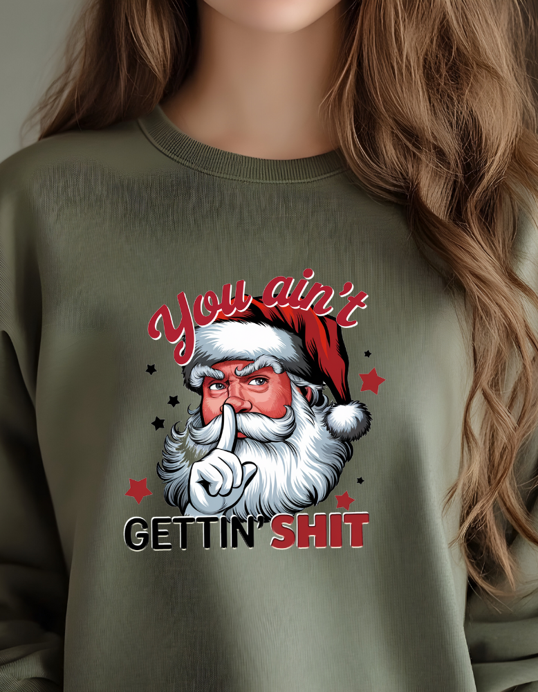 You Ain't Gettin Shit|TShirt|Sweatshirt|Hoodie