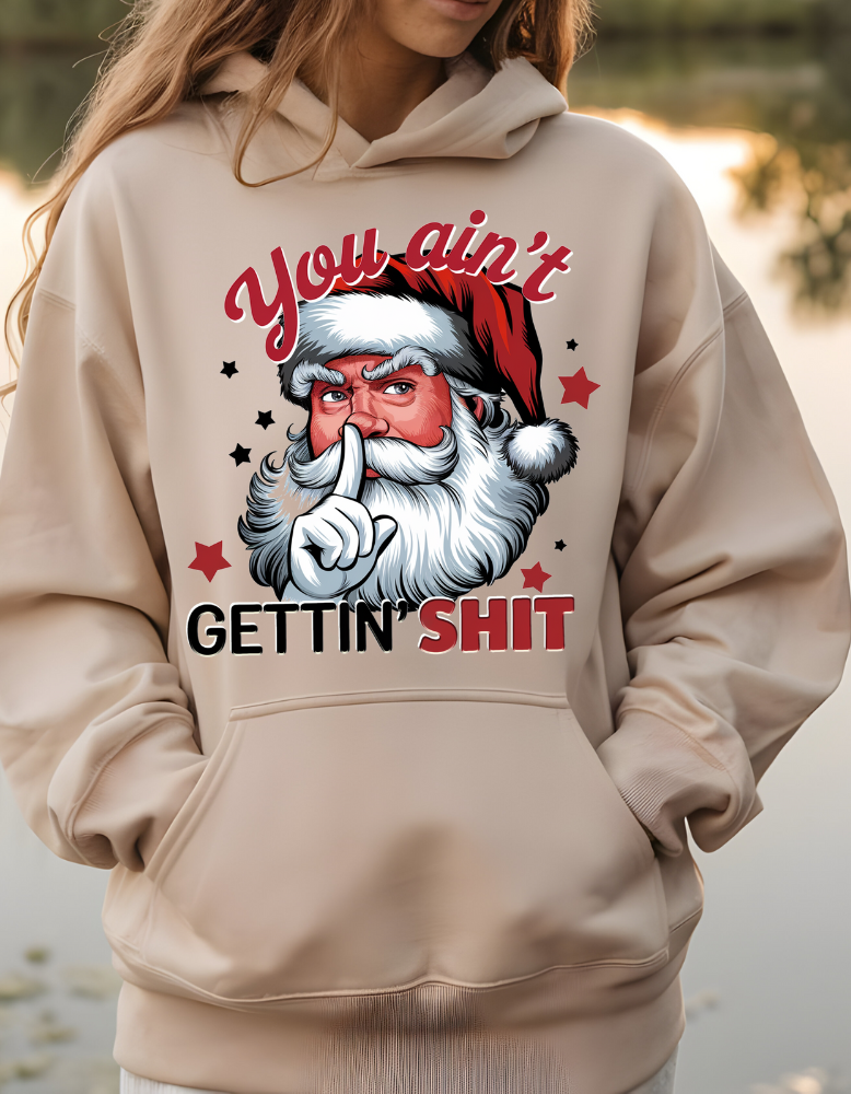 You Ain't Gettin Shit|TShirt|Sweatshirt|Hoodie